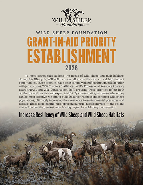 WSF Grant-in-Aid Priorities 2026